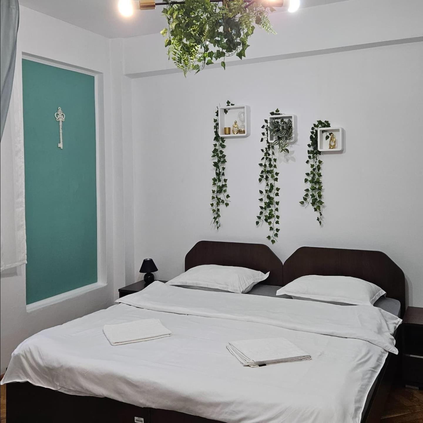 Apartment Zarnesti City Centre Vmp Free Parking Kültér fotó