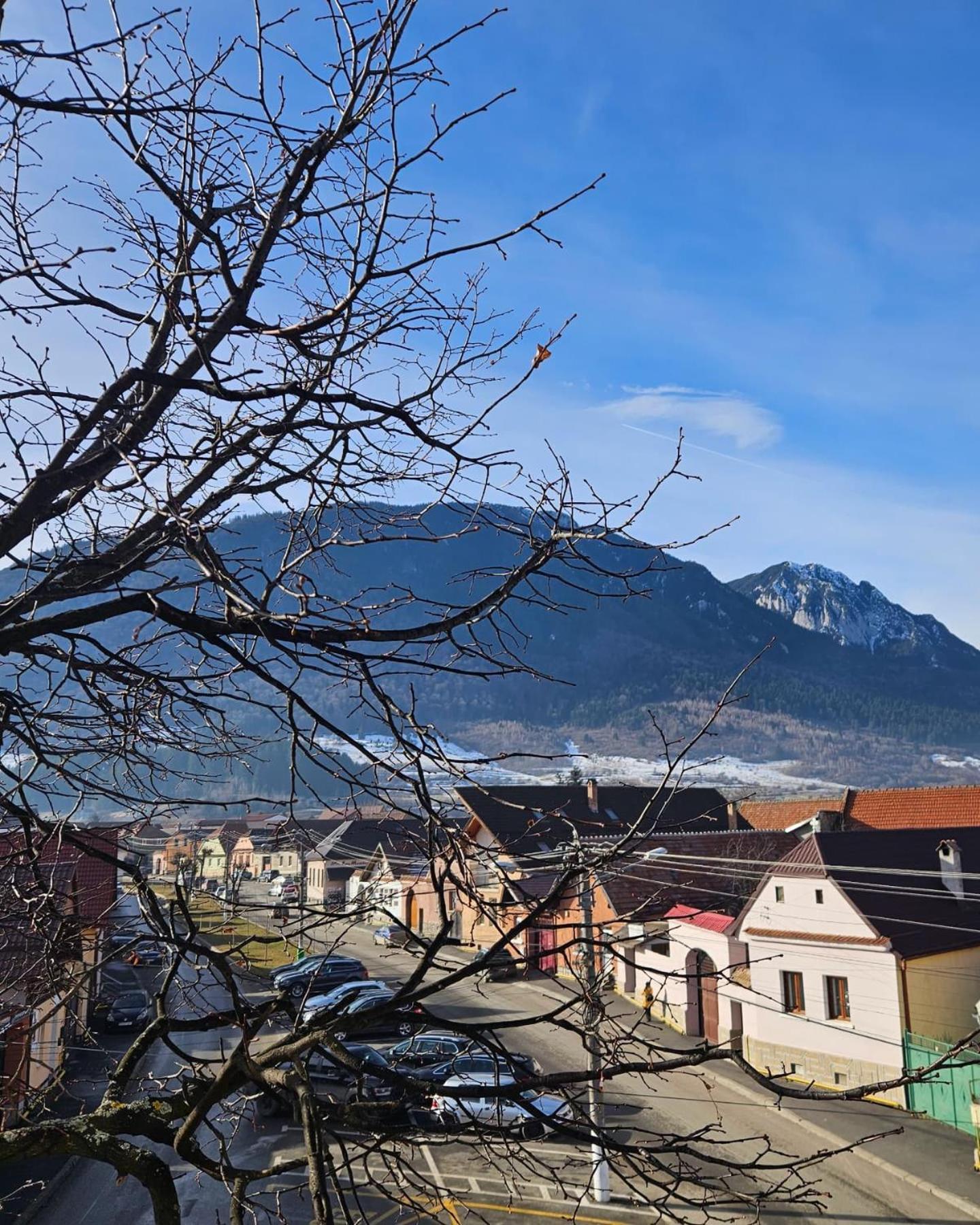Apartment Zarnesti City Centre Vmp Free Parking Kültér fotó